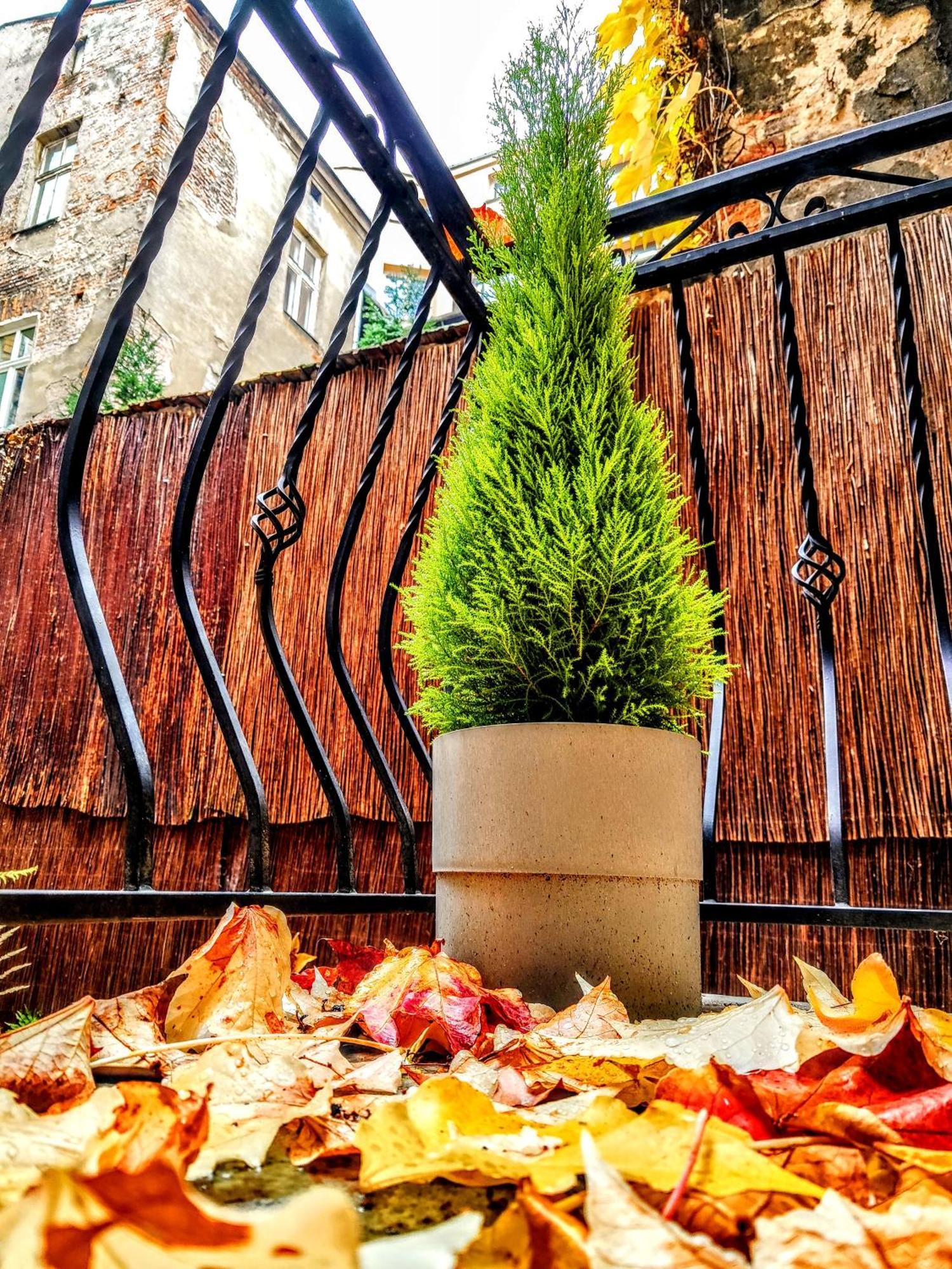Z-1 Krakow Old Town O&P Apartfamily מראה חיצוני תמונה